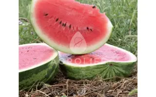 Columbia F1 / Колумбія F1