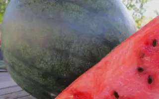 8600732 (Красень) / Красень