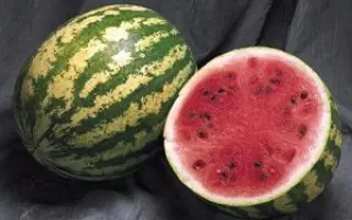 Madera F1 / Мадера F1