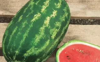 Nelson F1 / Нельсон F1