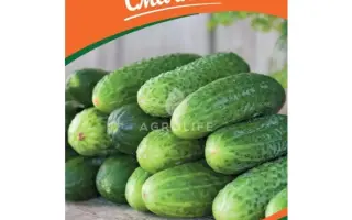 Рясный / Рясний