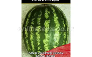 Содим (Волгоградський) / Содім