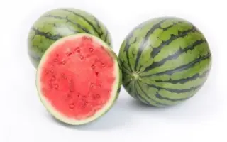 Tigrinho / Тігріньо