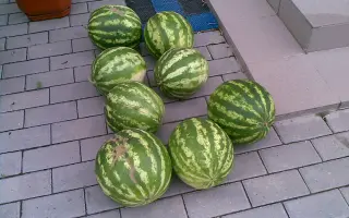 Херсонський