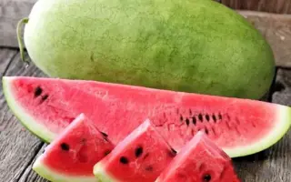 Charlston grey / Чарльстон грей