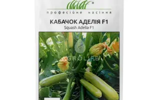 Adelia / Аделія