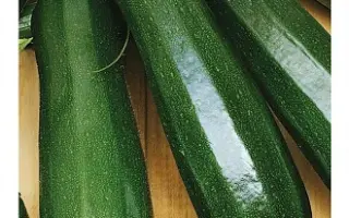 Aeronavt / Аеронавт