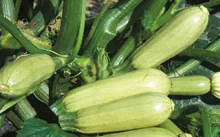 Aymaran / Аймаран