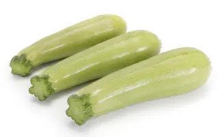 Alexandria / Александрія