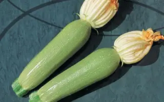 Alia F1 / Алія F1