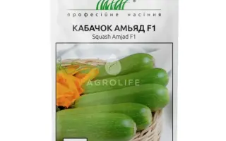 Amjad F1 / Амьяд F1