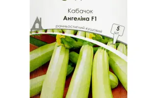 Angelina / Ангеліна