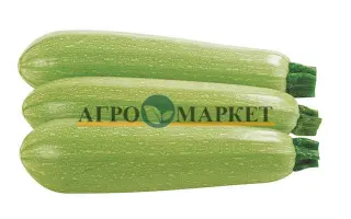 Ardendo 174 / Ардендо 174