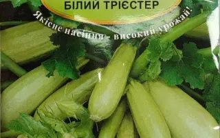 Білий трієстер