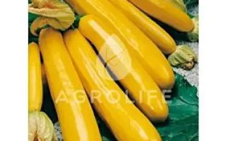 Goldena / Голдена