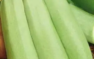 Hrybovs`kyi 37 / Грибовський 37