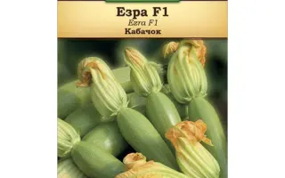 Ezra F1 / Езра F1