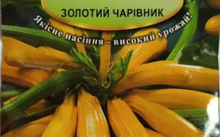 Золотий чарівник