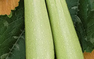 Eskenderany F1 / Искандер F1