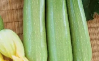 INX 1405 / ІНХ 1405