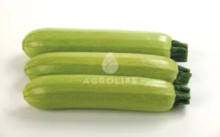 Ismalia / Ісмаліа