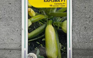 Carisma F1 / Карізма F1