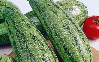 Kontak / Контак