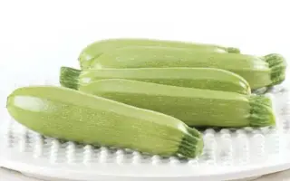 CORDELIA / КОРДЕЛІЯ