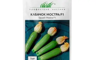 Mostra F1 / Мостра F1