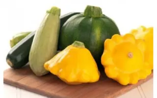 PATRICIA / ПАТРІСІА