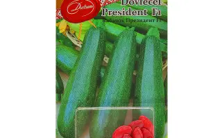 President / Президент