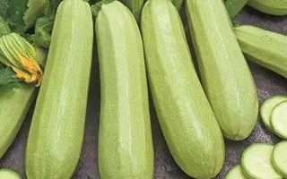 SV8575YL / СВ8575ЯЛ