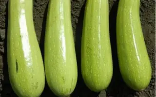 Solidor F1 / Солідор F1