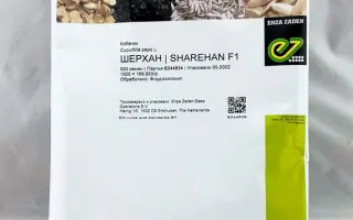 Sharehan / Шерхан