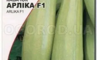 Arlika F1 / Арліка F1