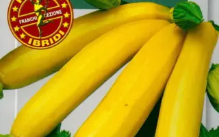 Gold Rush F1 / Голд Раш F1