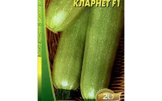 Clarnet F1 / Кларнет F1