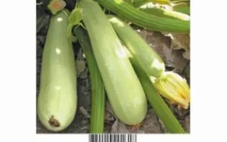 Sungroom / Сангрум