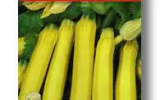 Taxi F1 AS / Такси F1