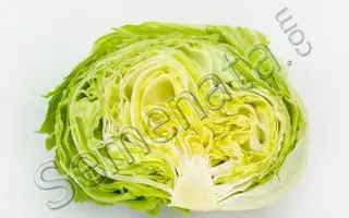 ICE MUSIC / АЙС МЮЗІК