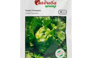 Glendana / Глендана