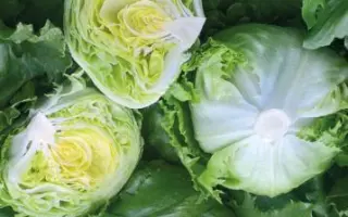 Gonzalo / Гонзало