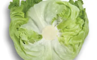 Ikebanas / Ікебанас