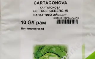 CARTAGONOVA / КАРТАГОНОВА