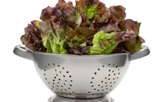 Rosemarry / Розмарі