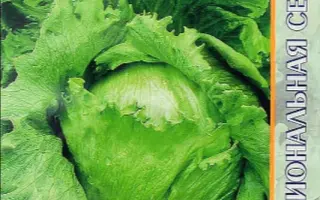 Stallion / Сталліон