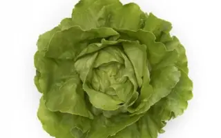 Tombelo / Томбело