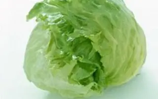 Forrester / Форестер