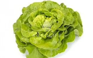 Antolina / Антоліна