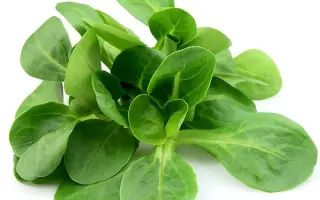 Cornelianas / Корнеліанас